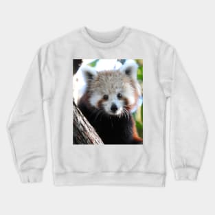 Maiya The Red Panda Crewneck Sweatshirt